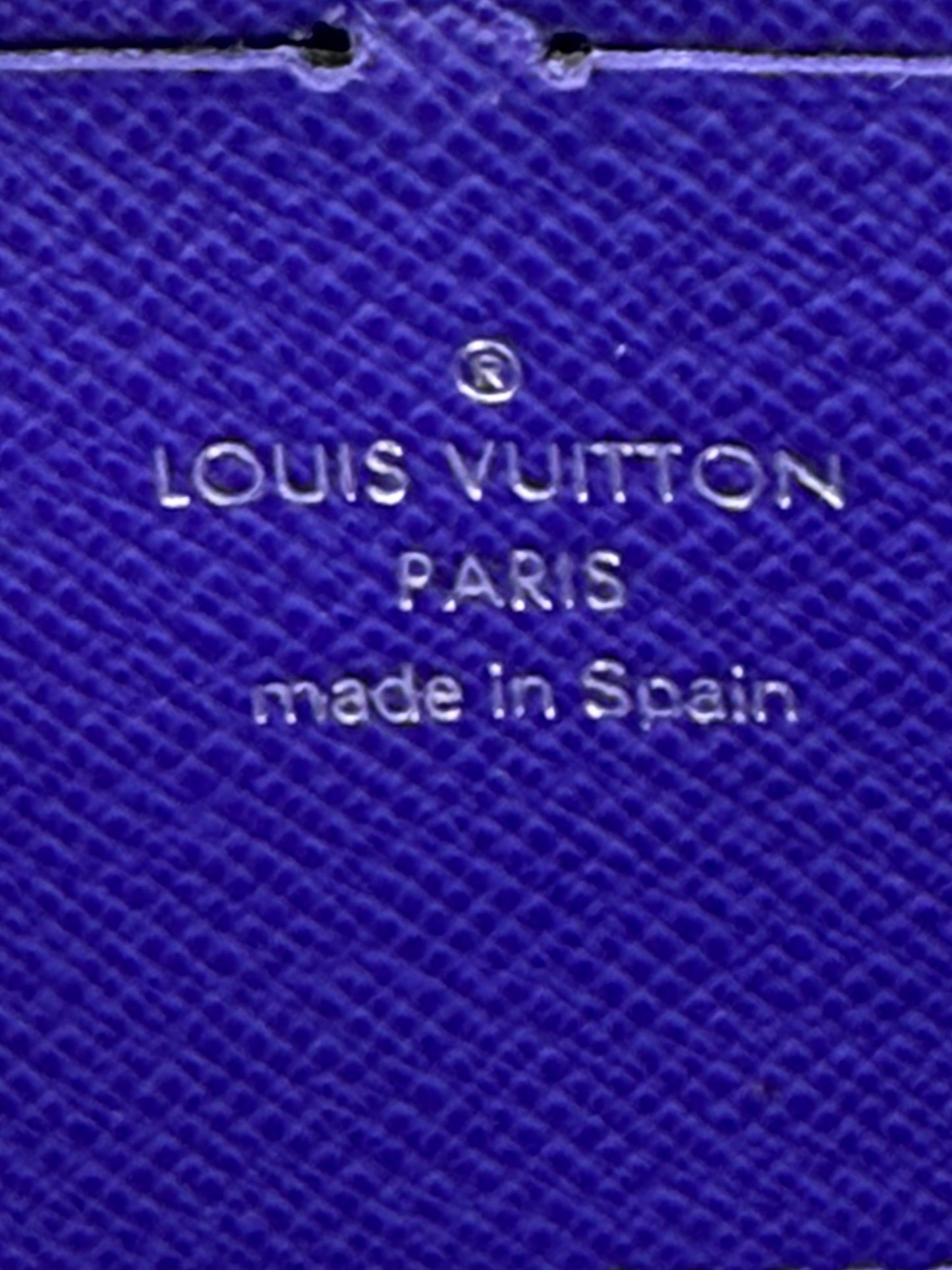 Louis Vuitton Purple Epi Zippy Wallet