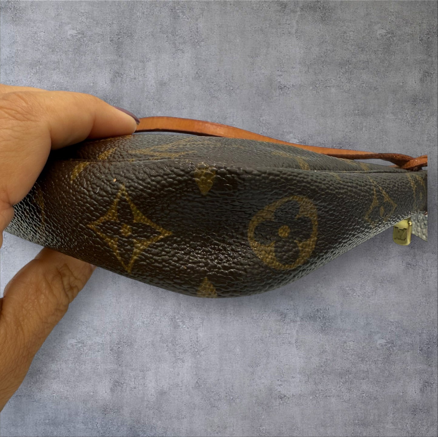 Louis Vuitton Monogram Pochette Accessories
