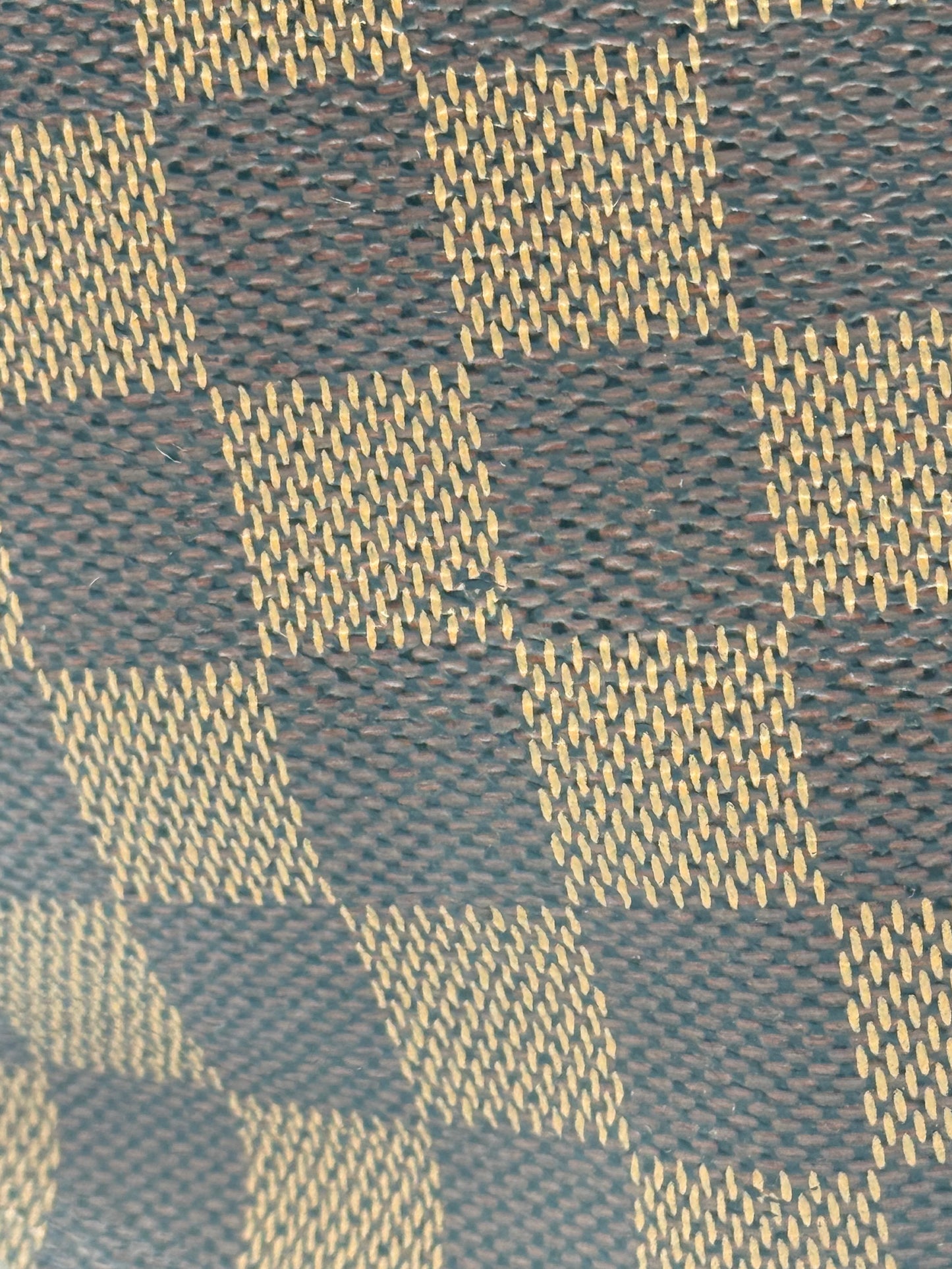 Louis Vuitton Damier Ebene Saleya PM