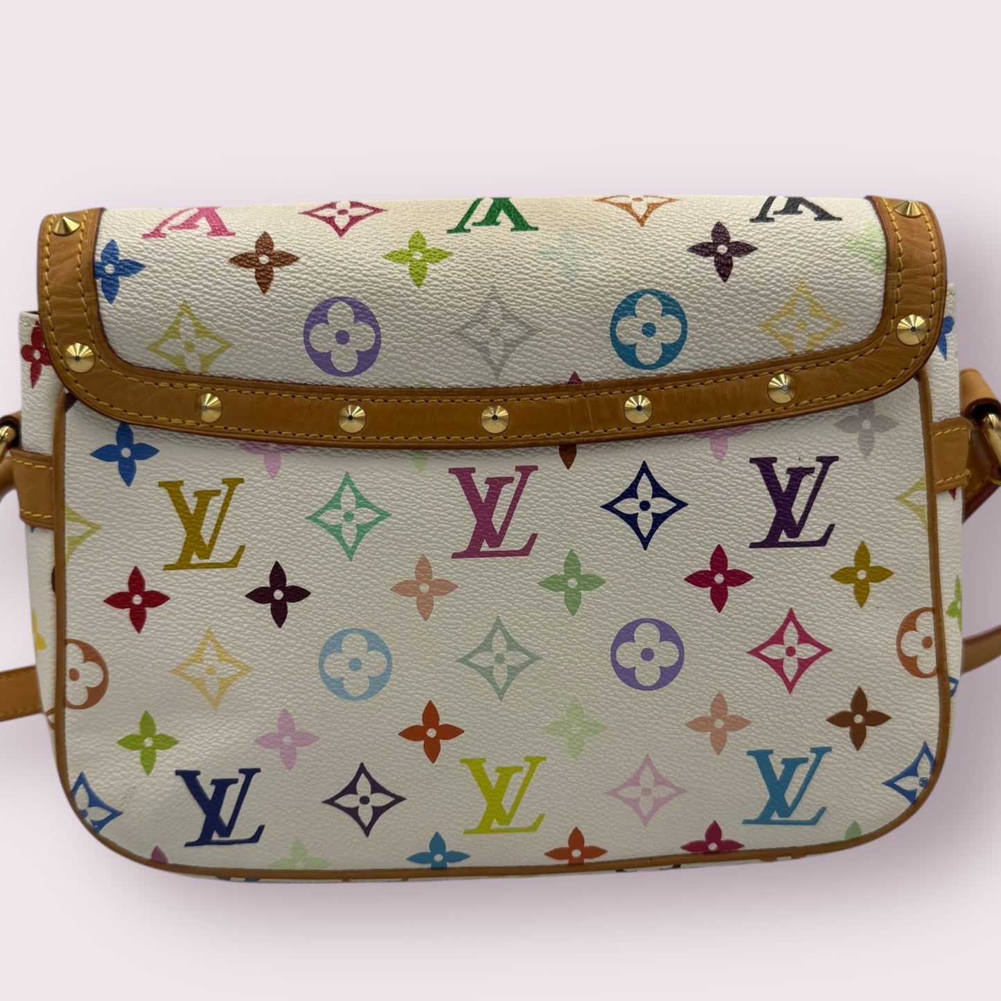 Louis Vuitton Murakami Sologne Multicolor Bag
