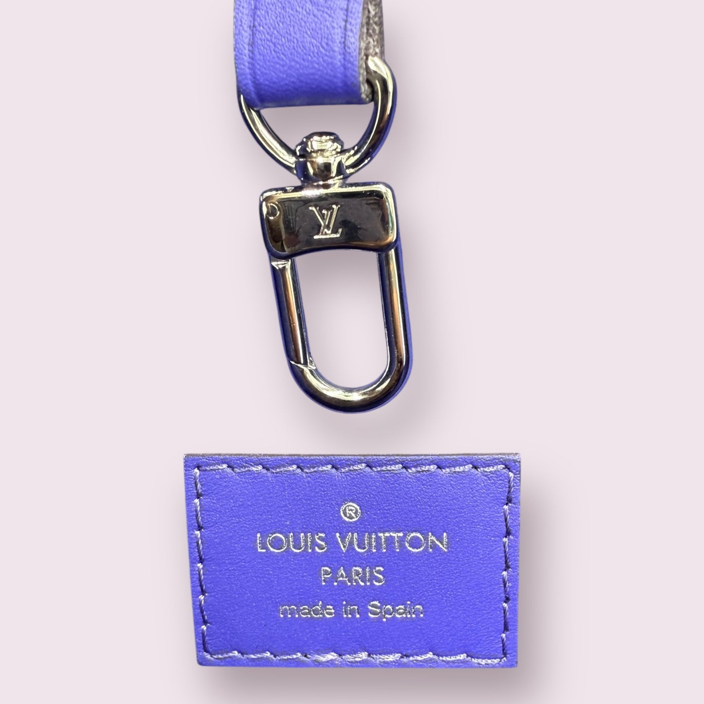 Louis Vuitton Neverfull Tote Purple Epi Leather PM