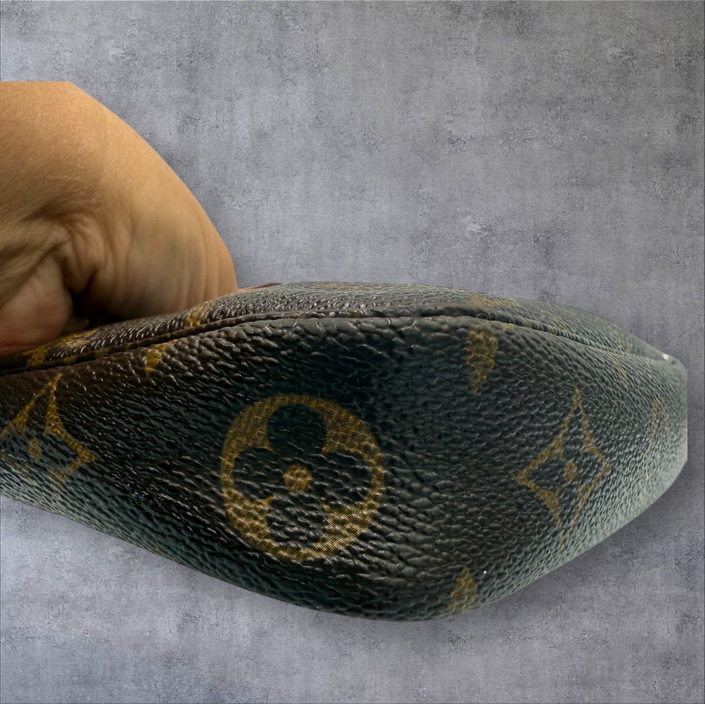 Louis Vuitton Monogram Pochette Accessories