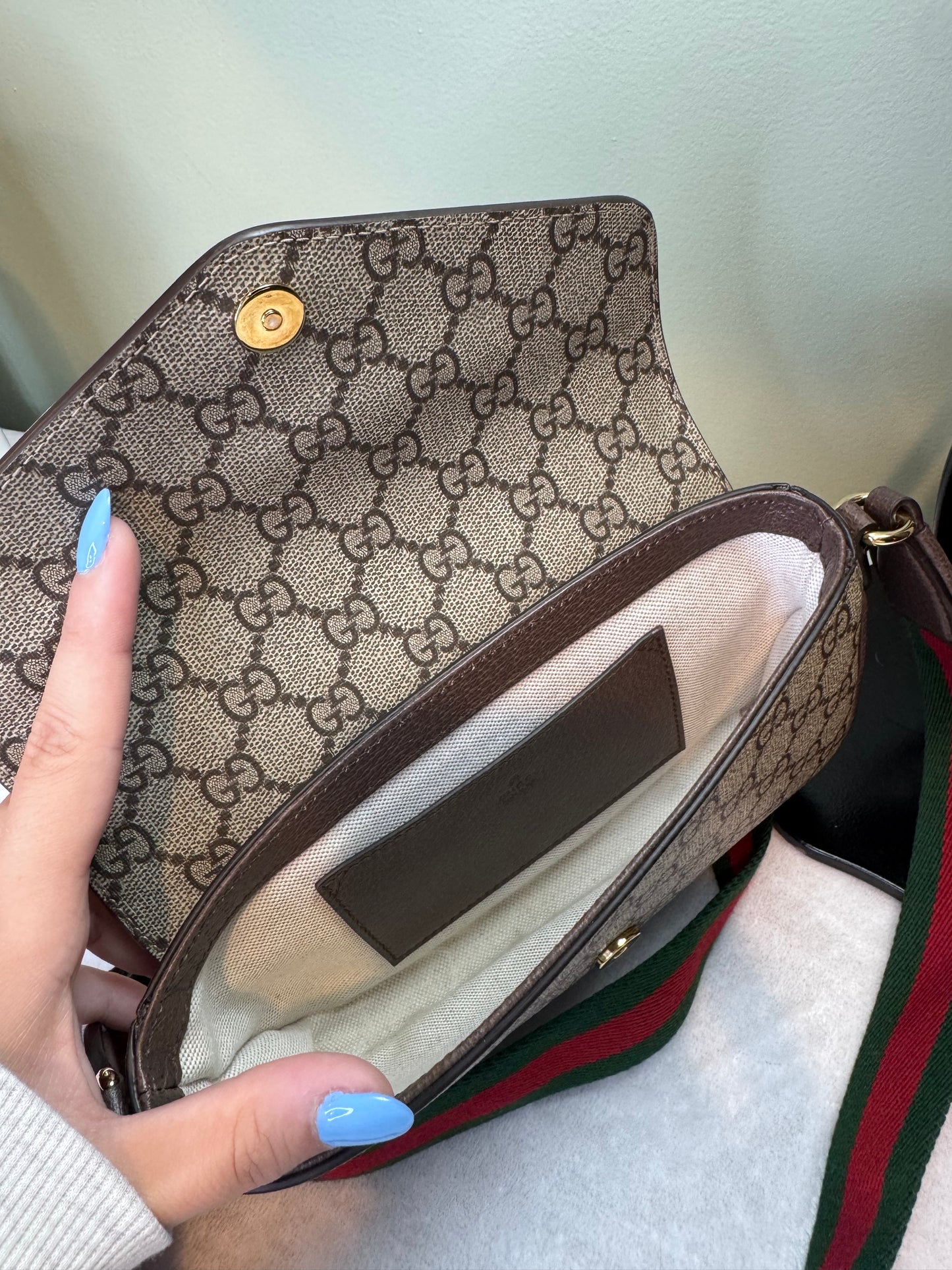 1723. Gucci Ophidia Pochette
