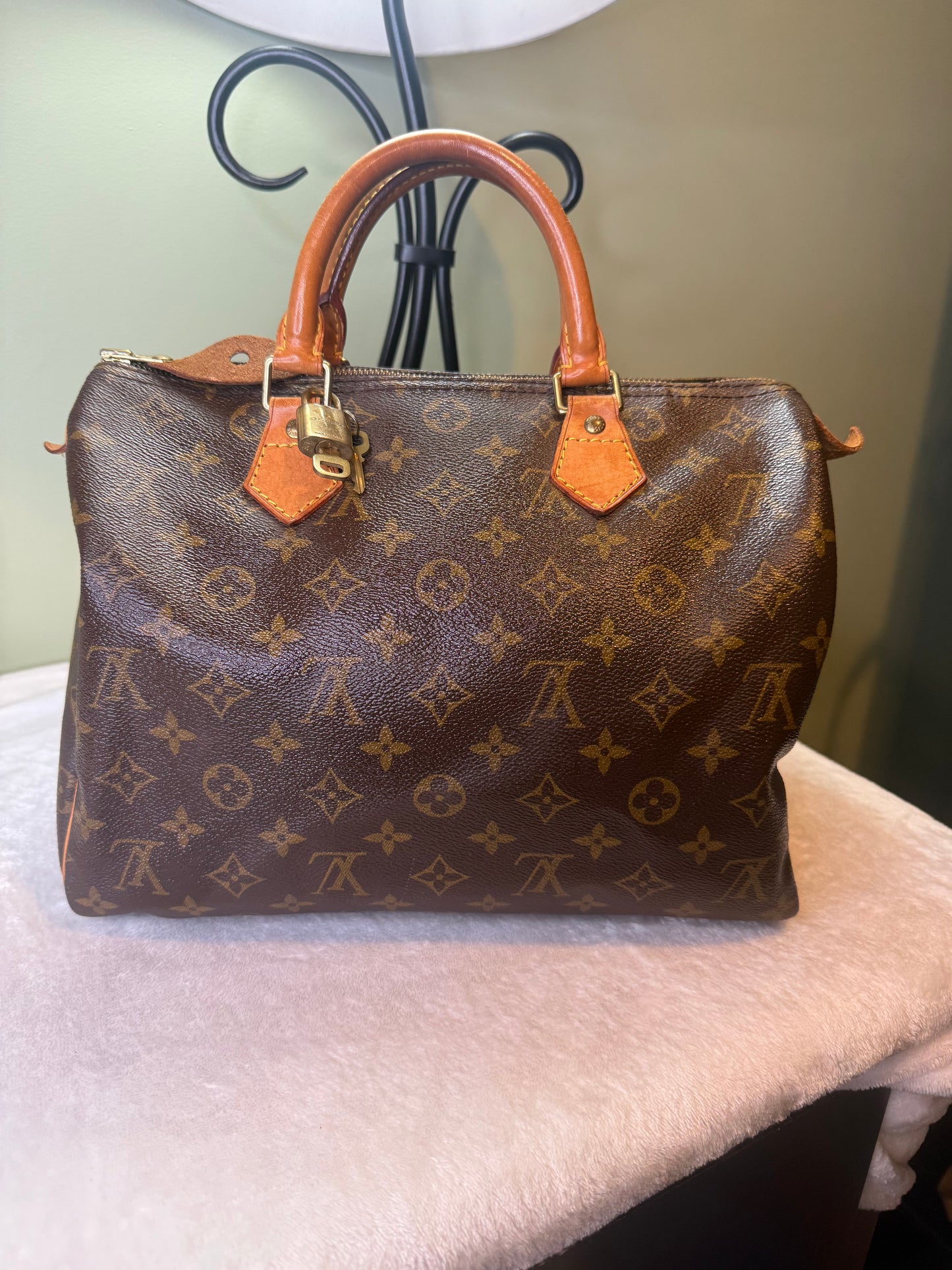1766. Louis Vuitton Monogram Speedy 30