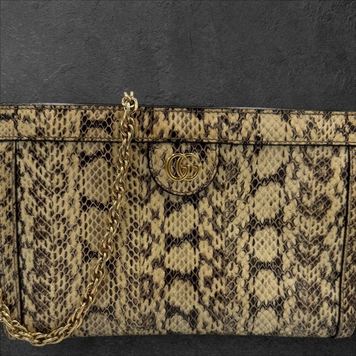 Python Ophidia 442. Gucci Python Ophidia – Golden Luxe Company LLC