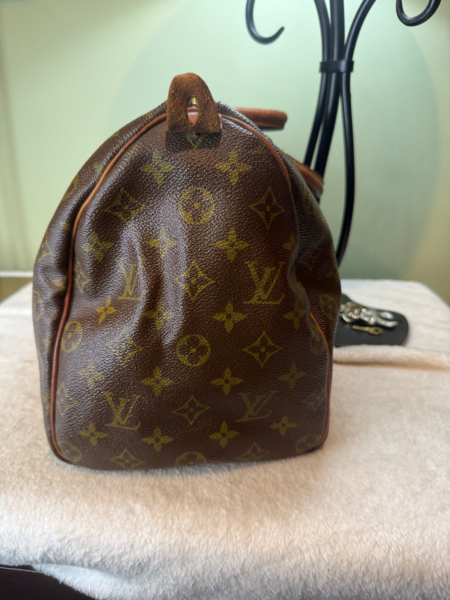 1189. Louis Vuitton Monogram Speedy 30