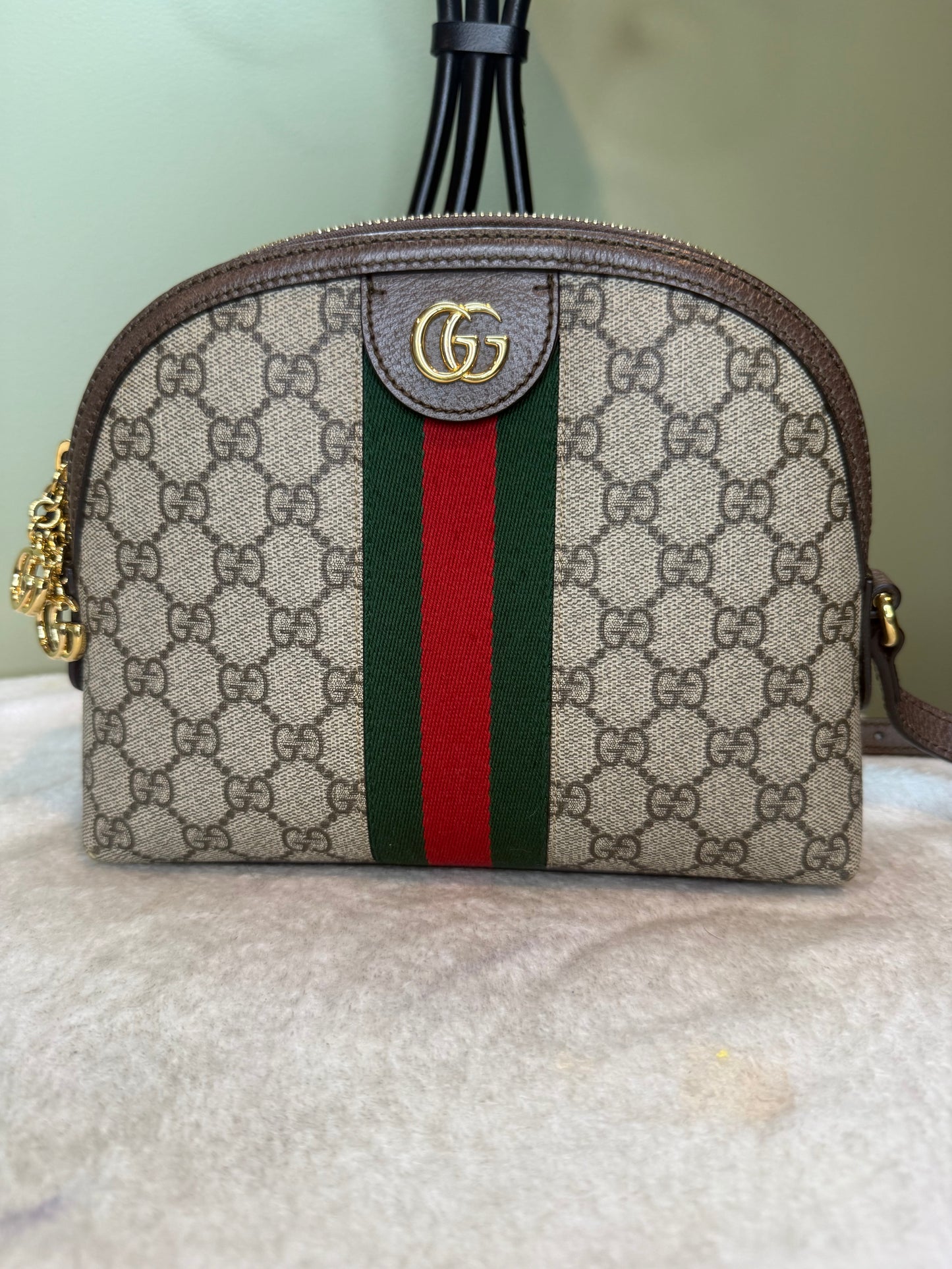 1488. Gucci Ophidia Small Rounded top