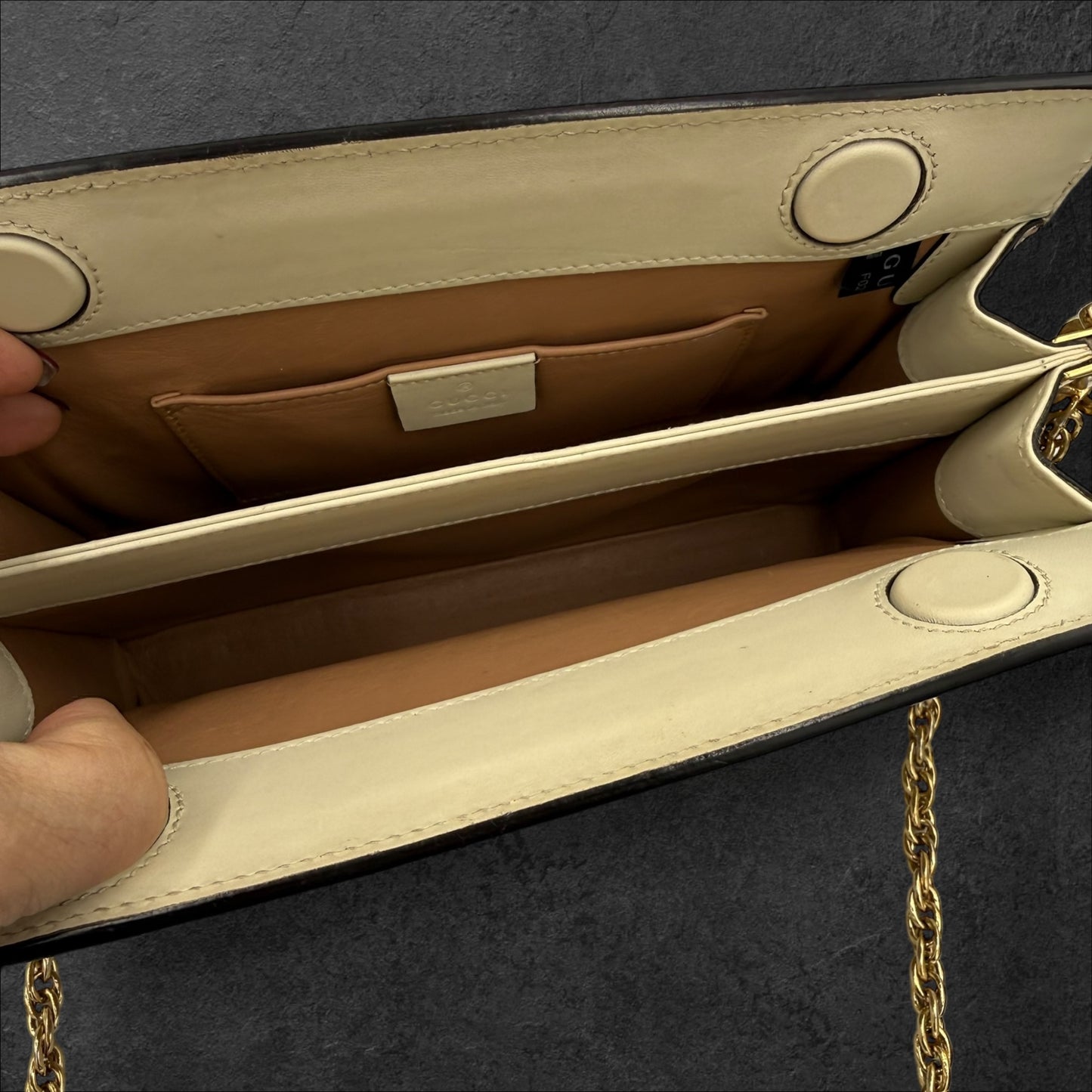 442. Gucci Python Ophidia