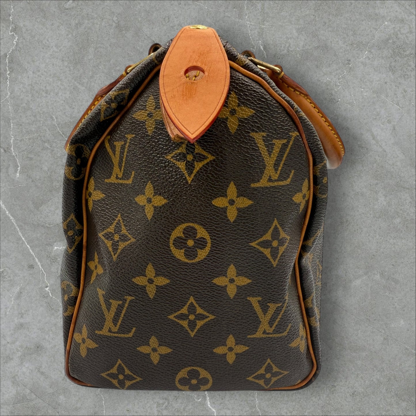 302. Louis Vuitton Monogram Speedy 25
