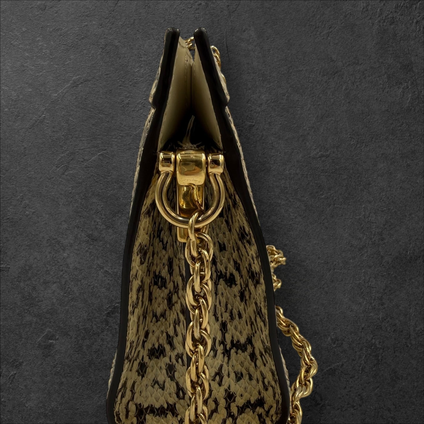 442. Gucci Python Ophidia