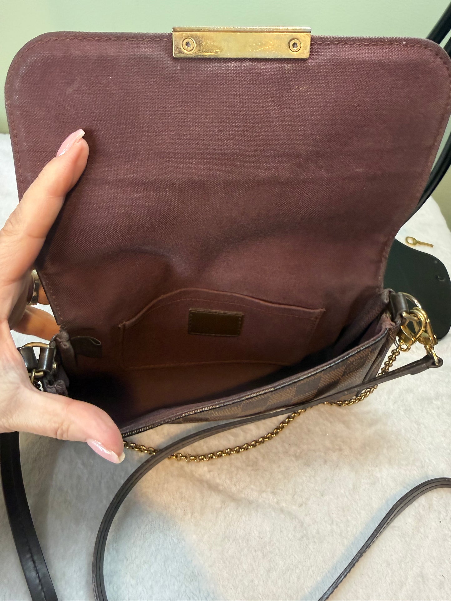 647. Louis Vuitton Damier Ebene Favorite PM