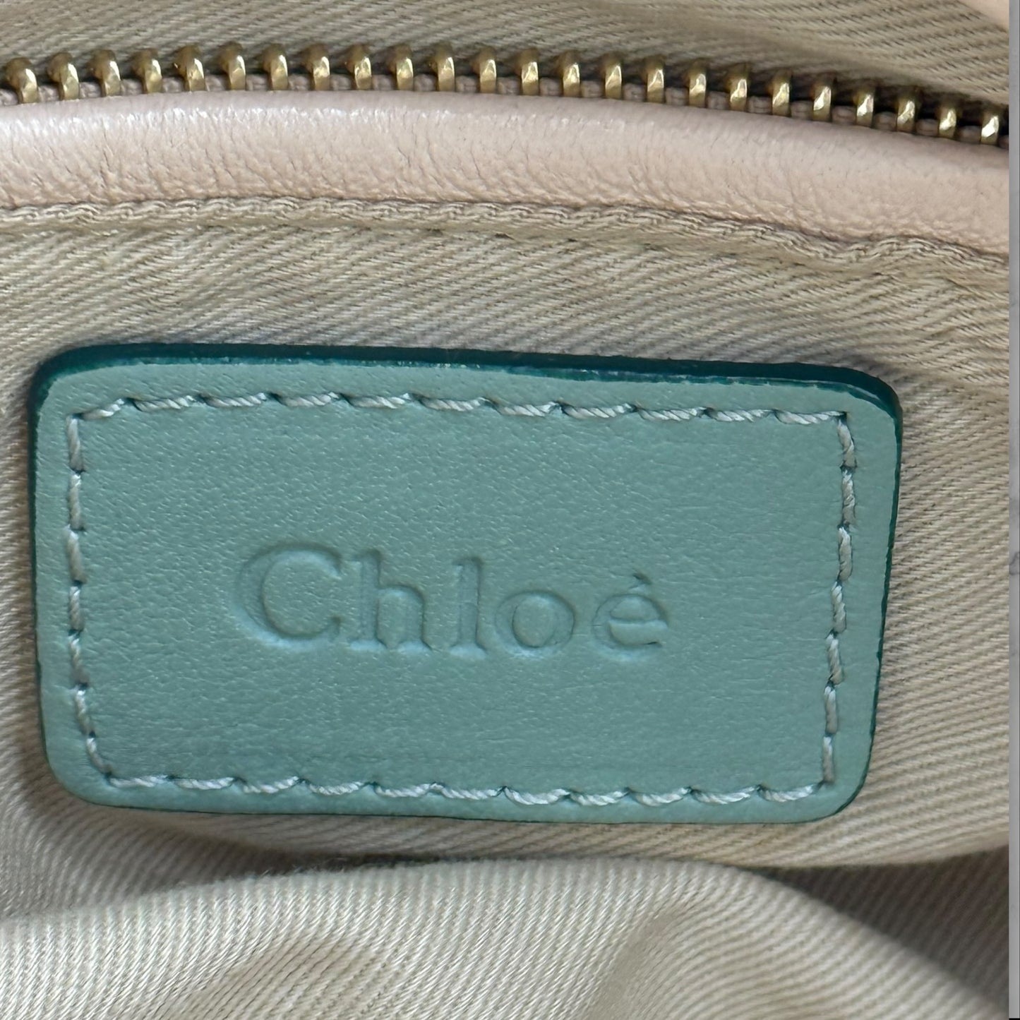 Chloe Pastel Green Calfskin Paraty Bag
