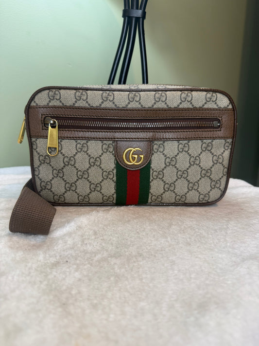 1180. Gucci Medium Ophidia Belt Bag