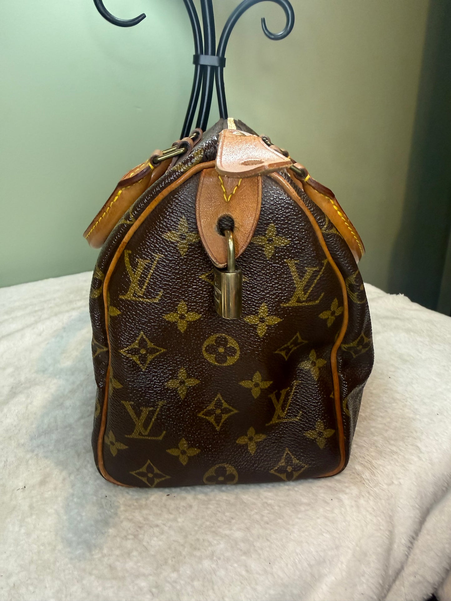 1461. Louis Vuitton Monogram Speedy 25